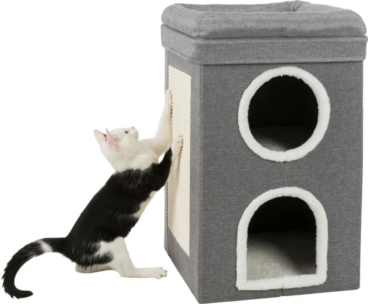 Cat Tower Saul